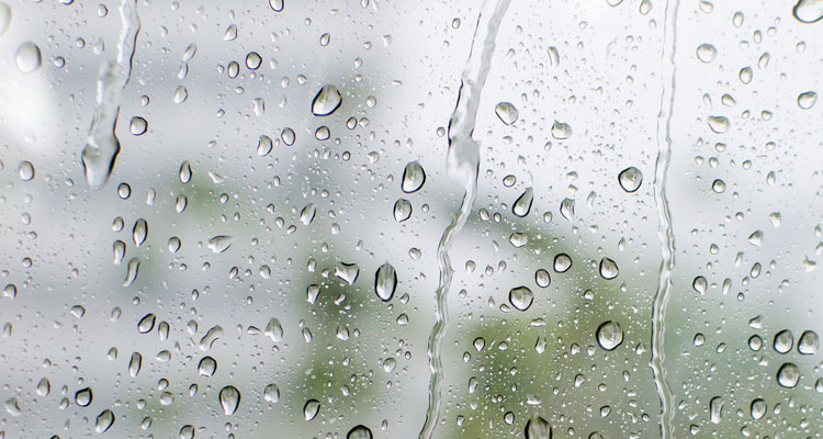 La lluvia como sonido relajante de la naturaleza