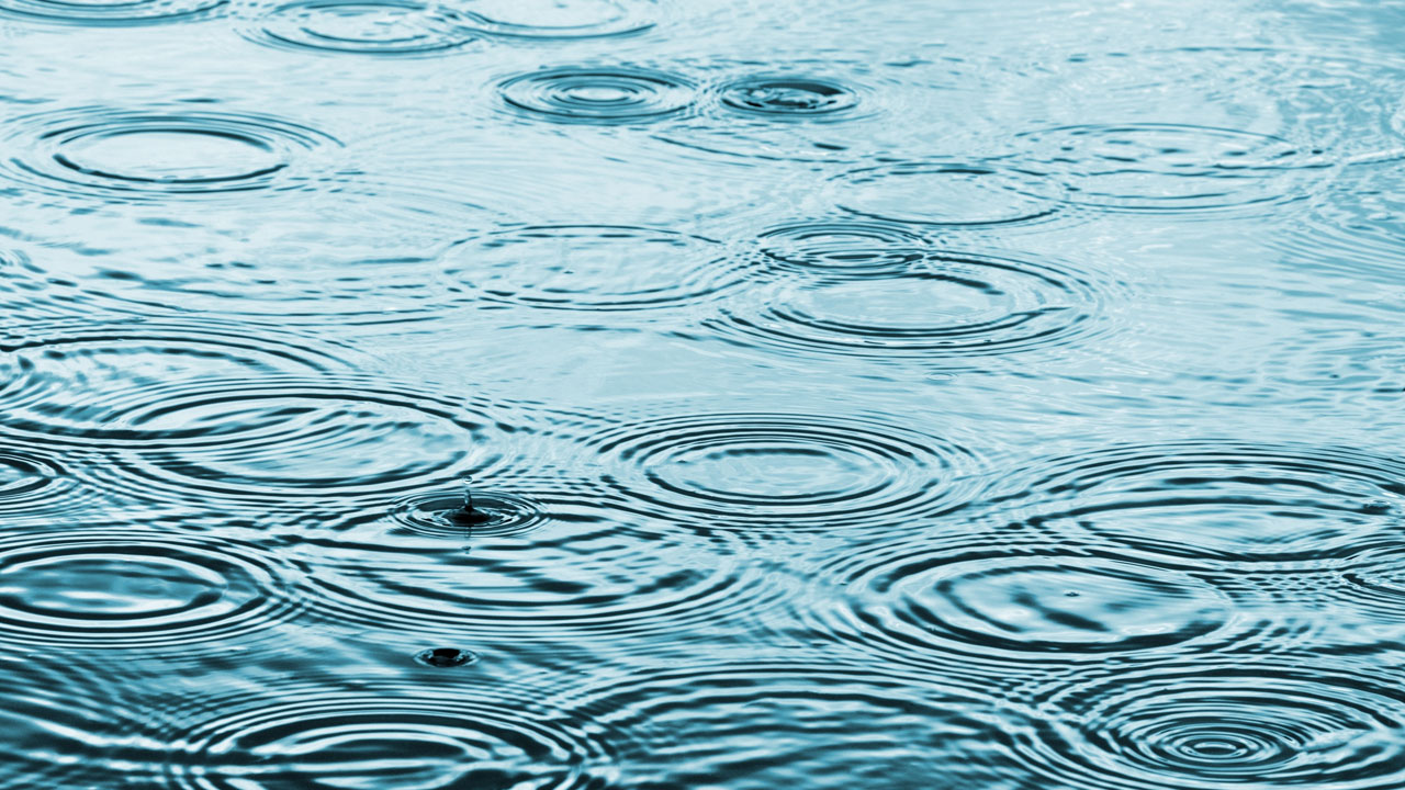 Lluvia Relajante para Dormir sin Truenos. Sonidos de la Naturaleza.